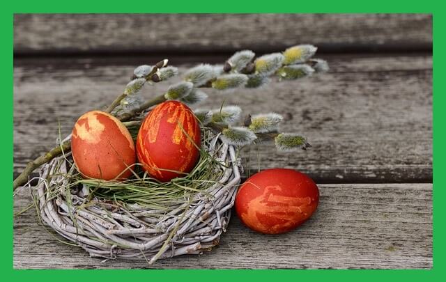 부활절-계란-새집