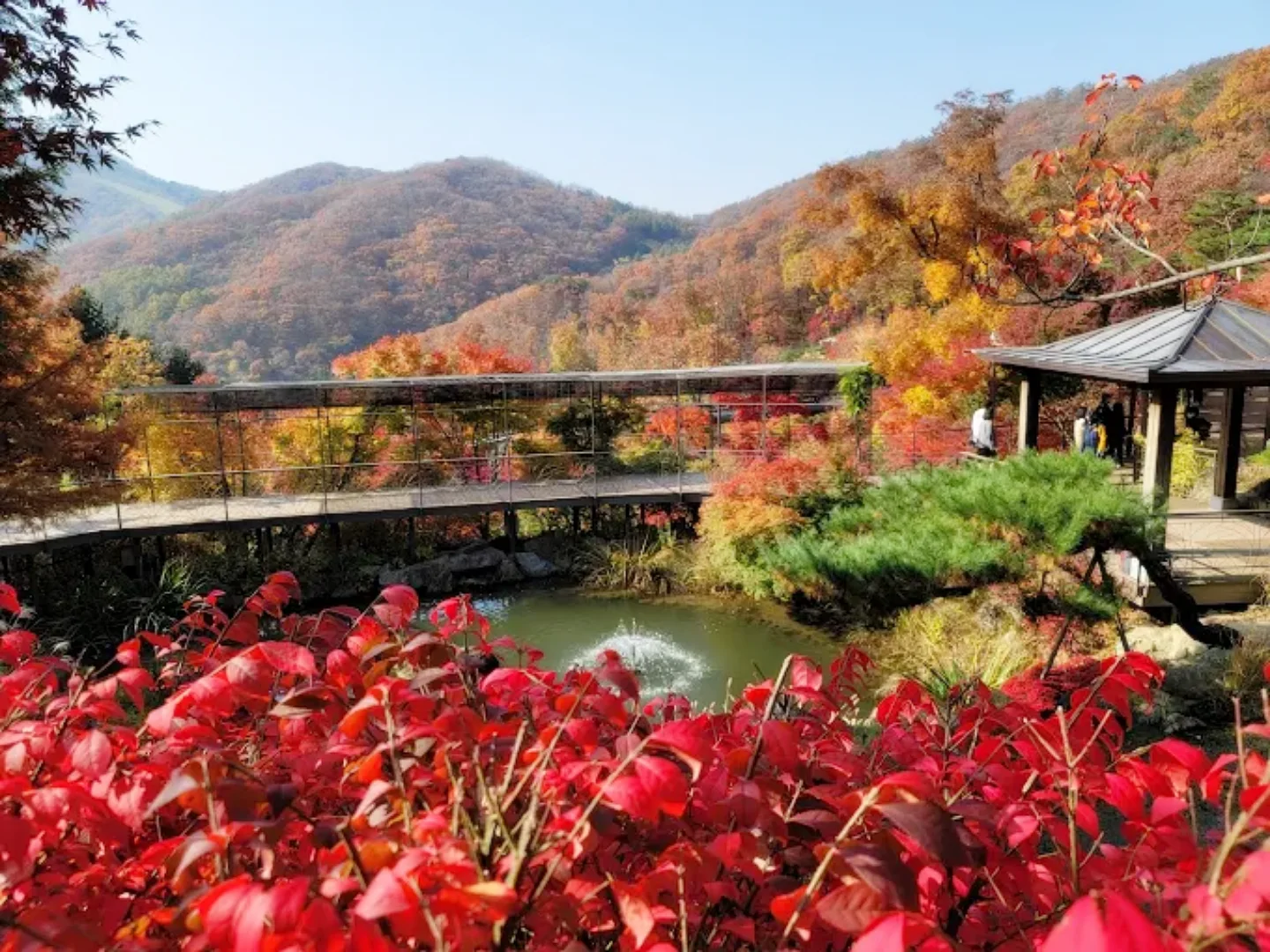 화담숲 숨은 포토스팟