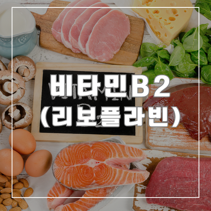 비타민 B2 (리보플라빈)
