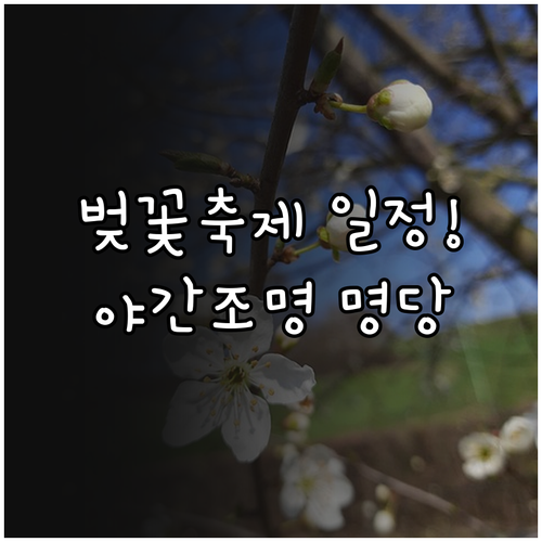 석촌호수 벚꽃 축제 기간과 야간 조명..