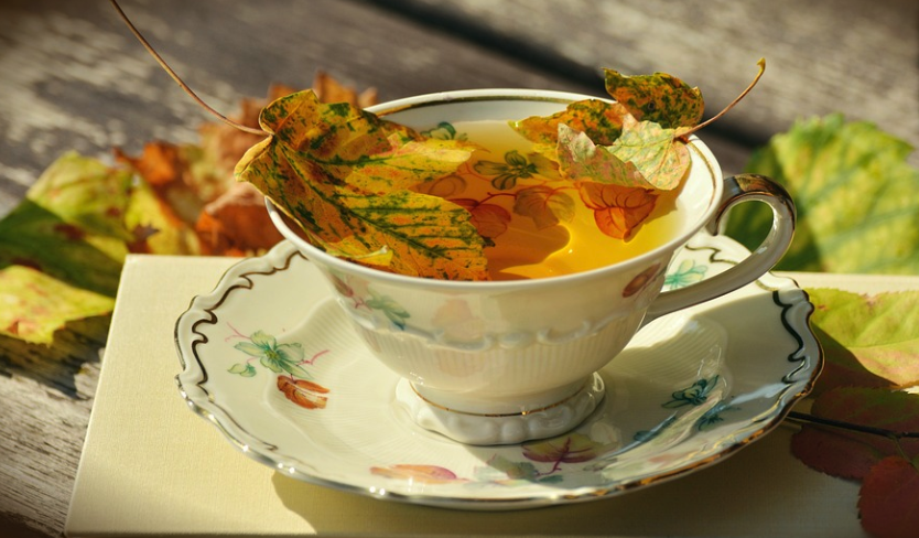 autumn, tea, leaves