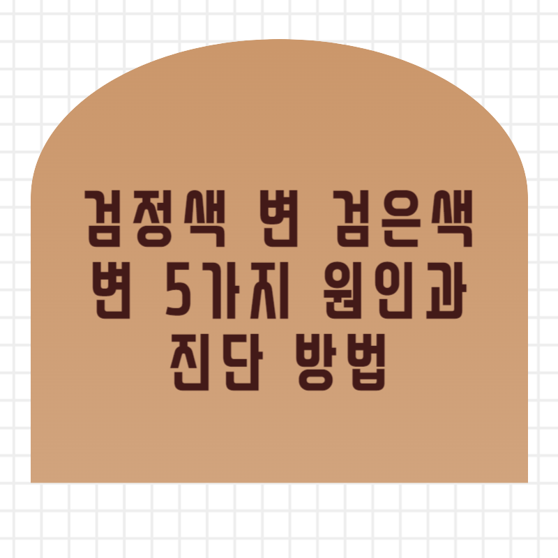 검정색 변 검은색 변 5가지 원인과 진단 방법