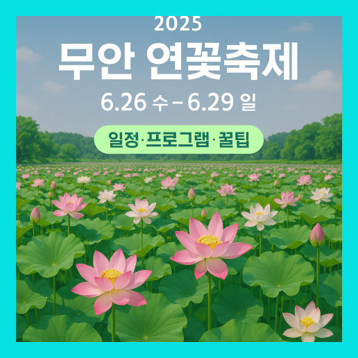 무안 연꽃축제 총정리