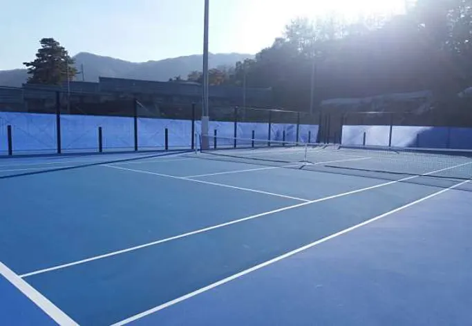 드림 실내테니스