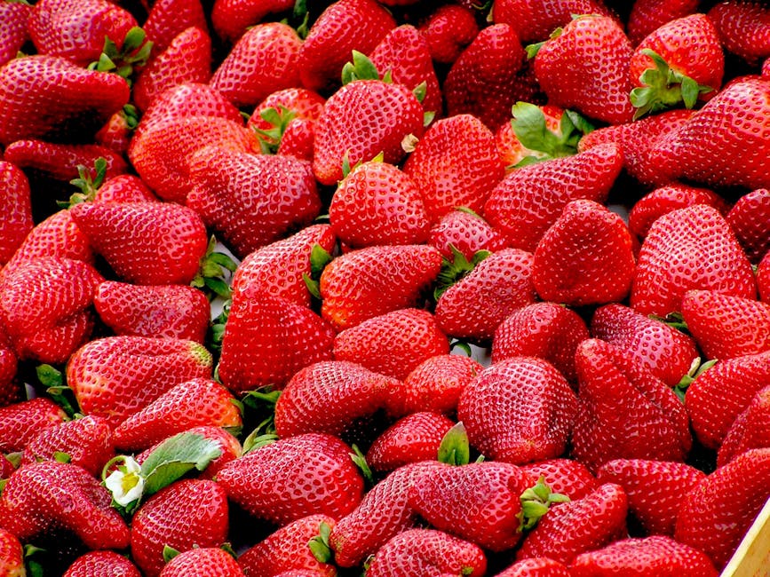 A close-up of plump, fresh strawberries showcasing vivid red colors and lush green stems.