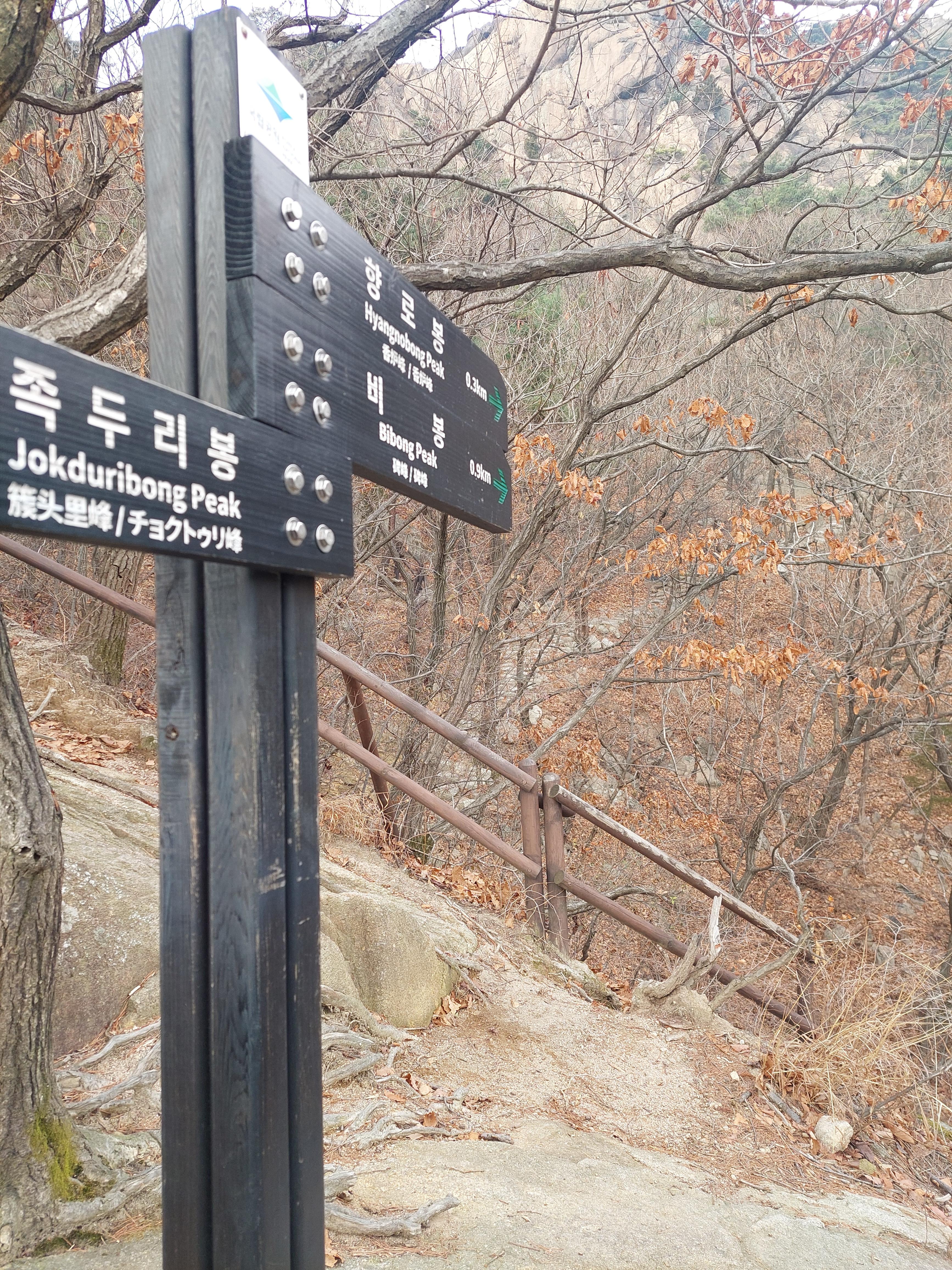 비봉