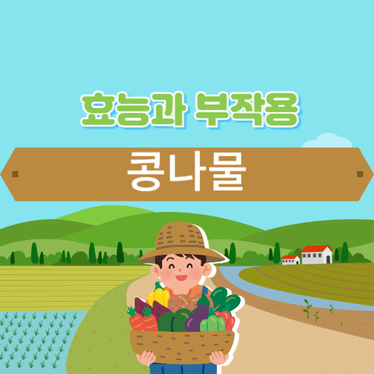 콩나물의 효능과 부작용