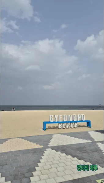 경포 해변 파도 높이 바람 방향 아이 동반 수영 안전_9