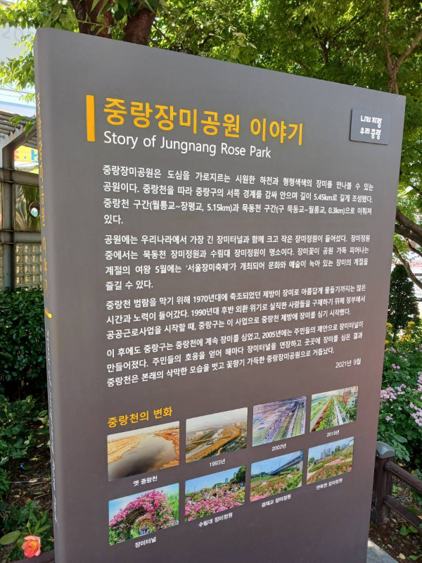중랑장미공원 이야기