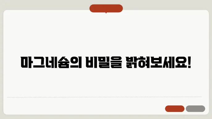 마그네슘의 흡수를 돕는 방법