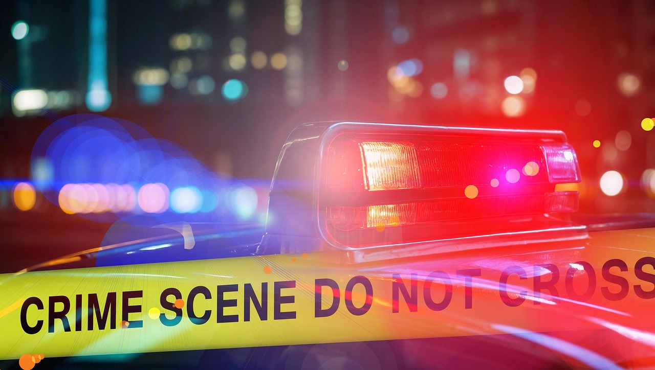 범죄영화 관련 이미지