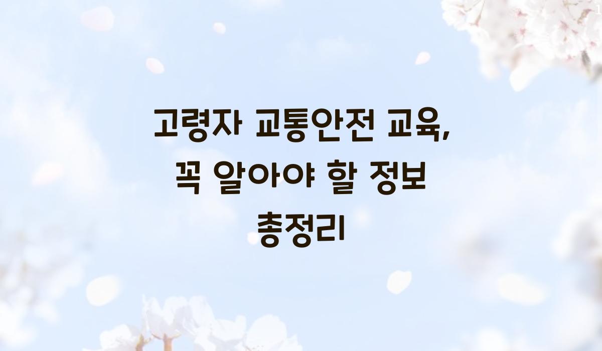 고령자 교통안전 교육