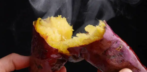 겨울 간식의 왕, 고구마 고르기. 군 고구마 vs 삶은 고구마.