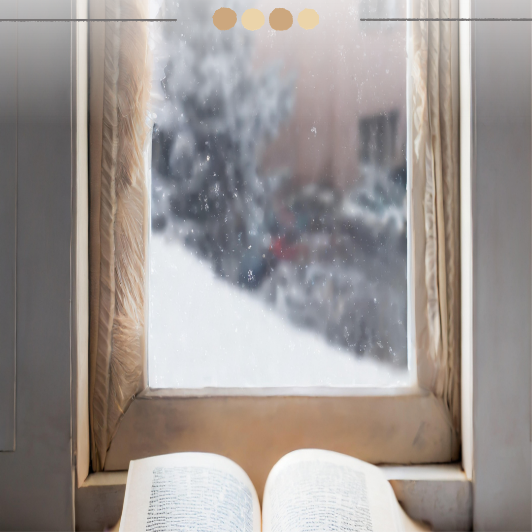 겨울날 책을 읽는 이미지