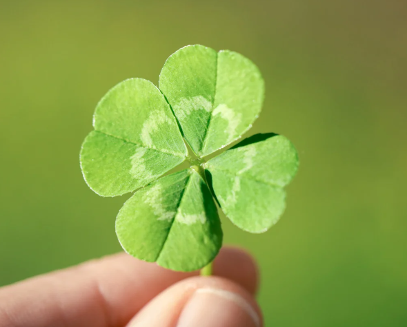 로또번호 당첨 예측 번호 자동 생성기 추출기