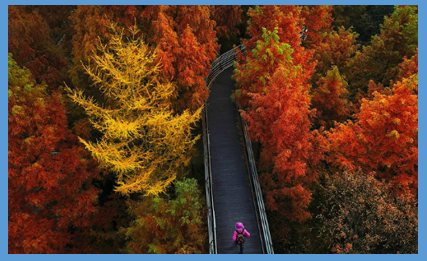 장태산-자연휴양림-풍경