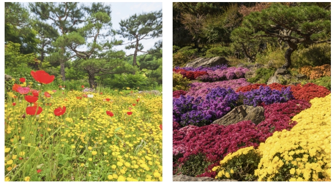 화담숲 암석·하경정원