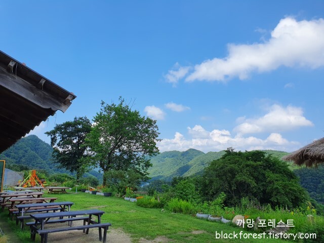 춘천 해피초원목장 풍경