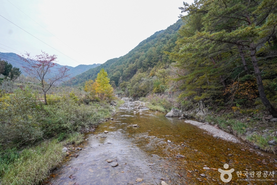 봉화 가볼만한곳 베스트10