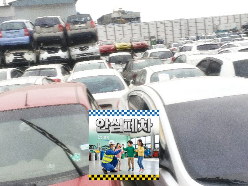 광양시폐차장 방치차량폐차 행정확인과 현장 상태 확인