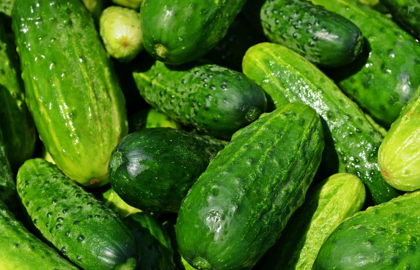 여름 반찬 필수 오이