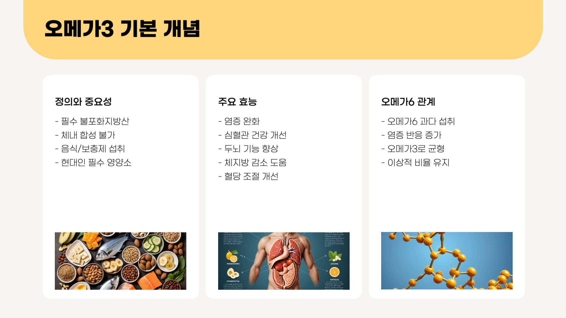 오메가3-개념