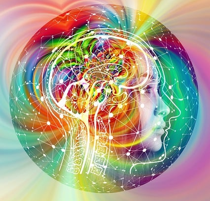 명상이 뇌에 미치는 영향