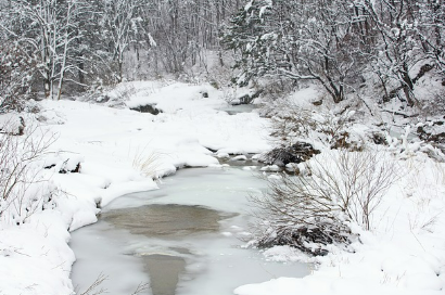 눈꿈 상황별 해몽
