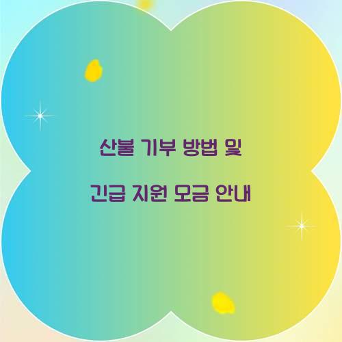 산불 기부 방법