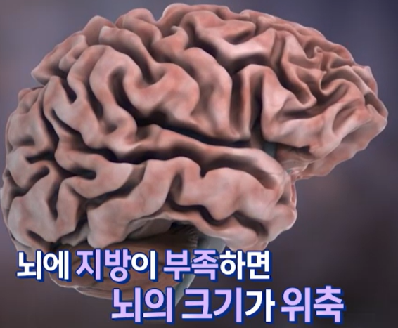 대마종자유 효능