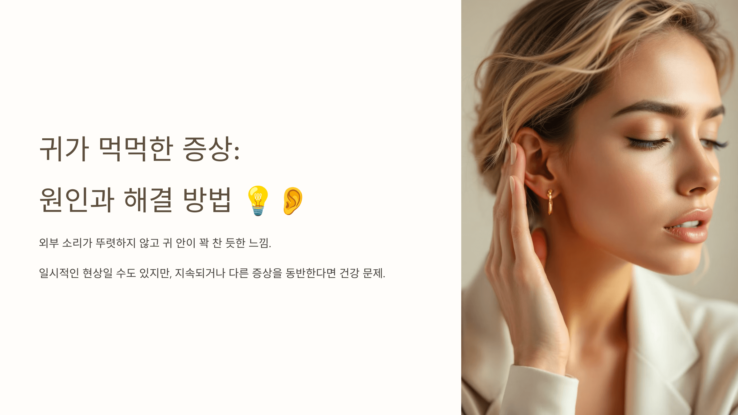 귀 사진입니다.