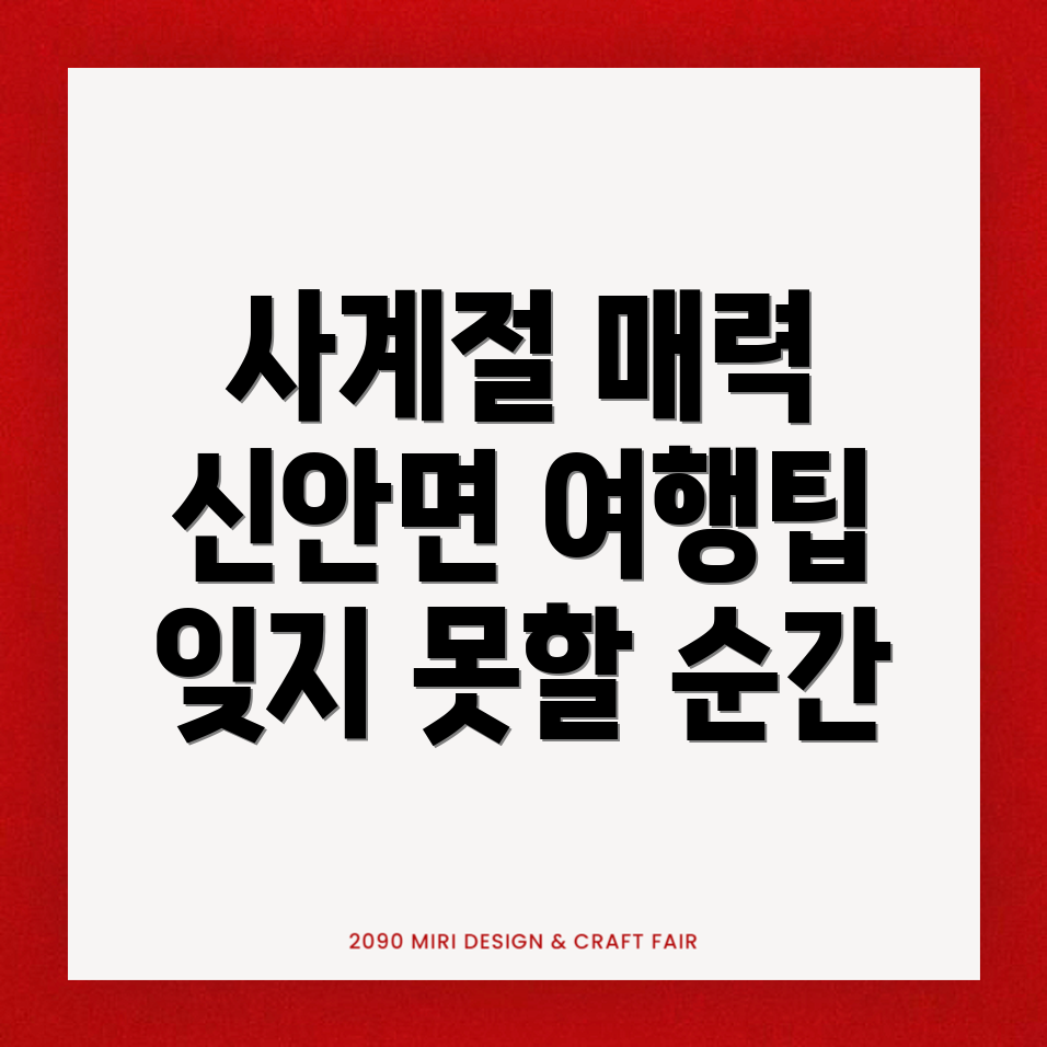 신안면 여행