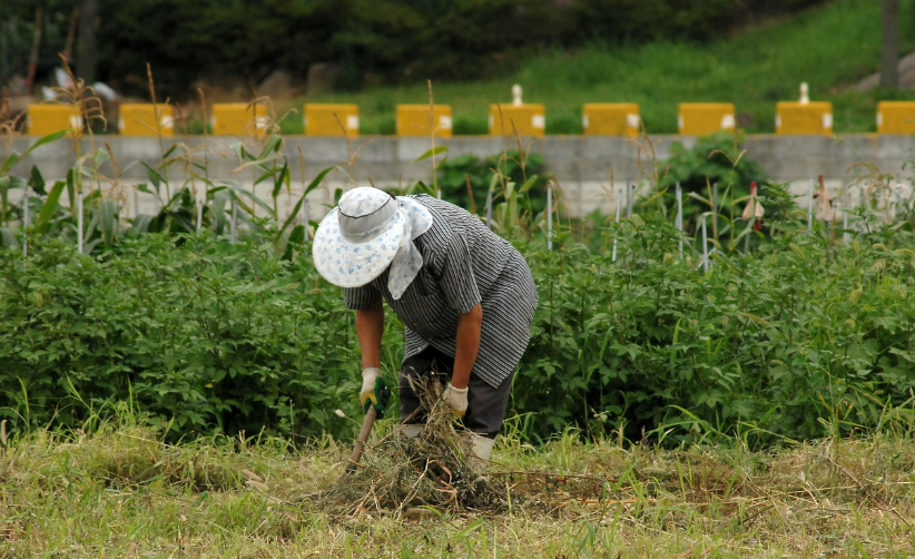 풀베는 농부 시골