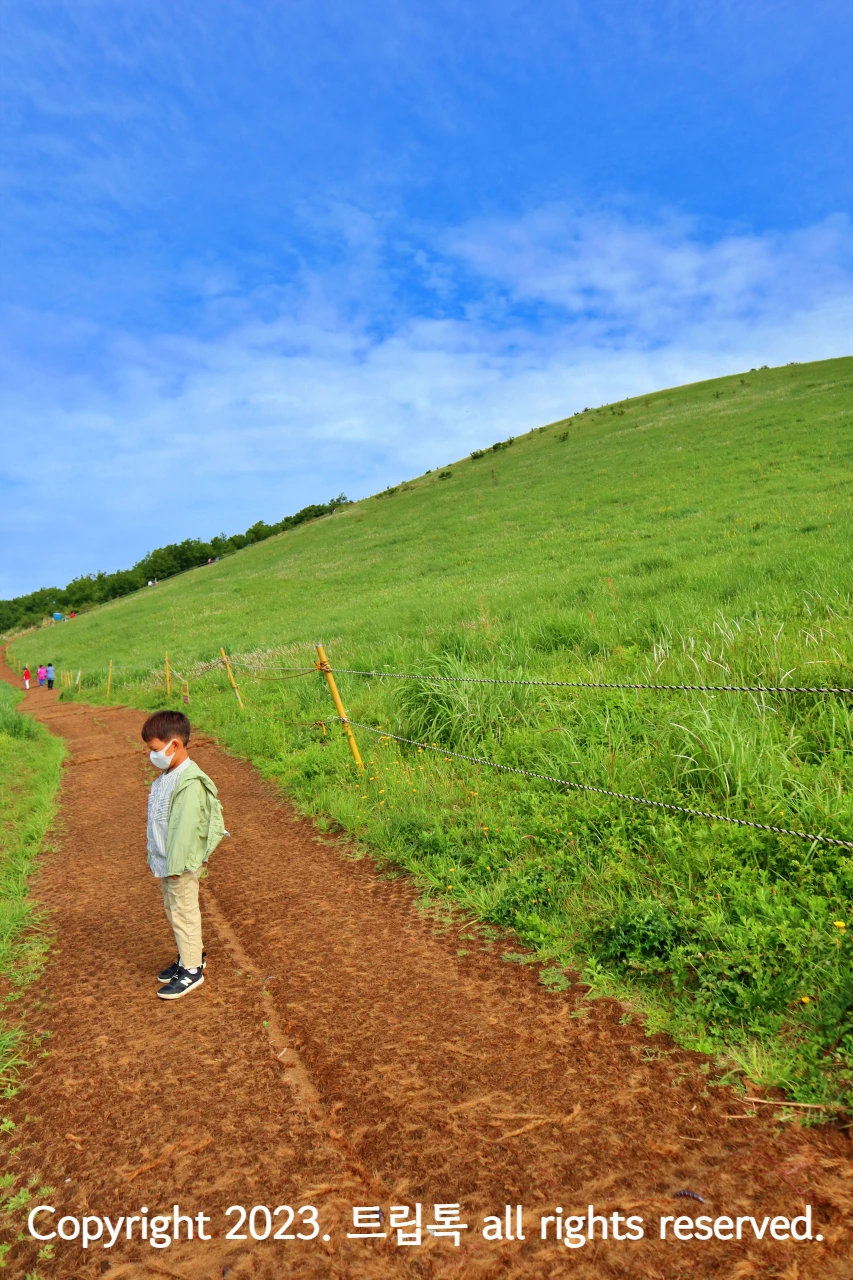 푸른하능과 완만한 곳건을 그리는 새별오름 왼쪽 길에 아이가 서있다