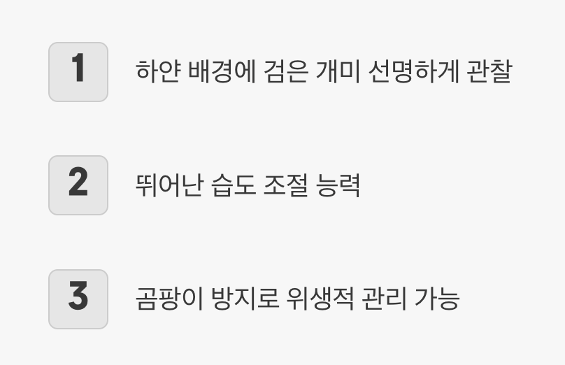 1. 관찰의 왕, 석고 사육장