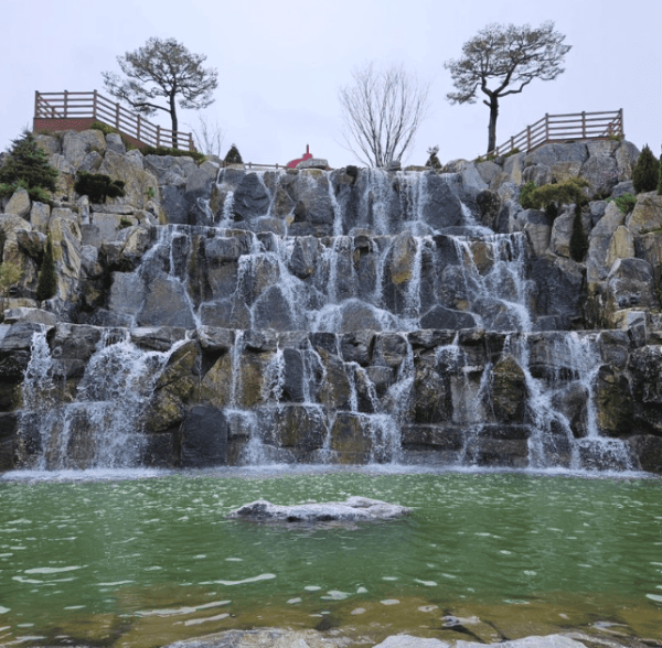 용인 자작나무숲