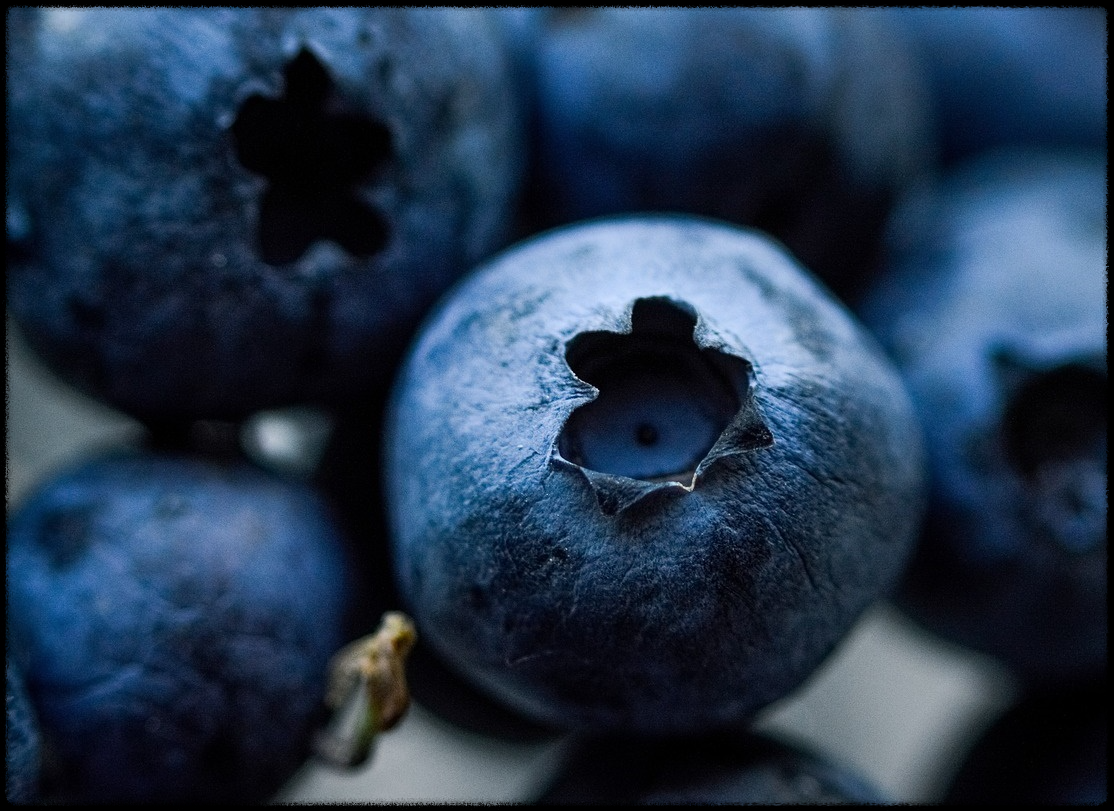 블루베리 효능 이미지_23