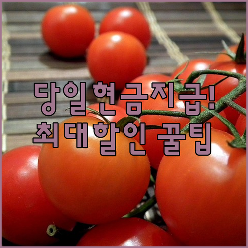 설치 당일 현금 지급부터 제휴 카드 ..