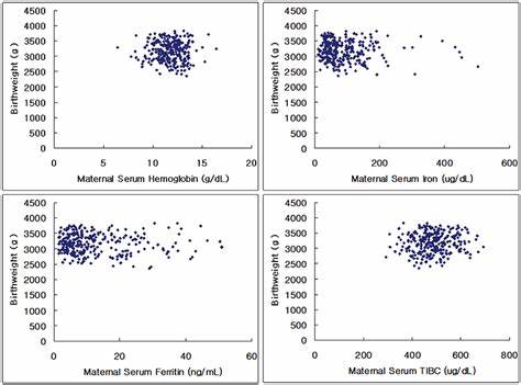 혈청 철분 vs 페리틴 vs TIBC의 임상적 해석