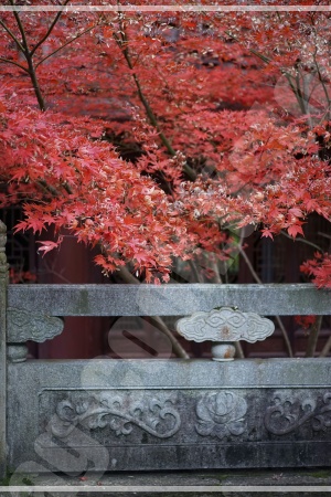 교통카드 한 장만 들고 가볍게 떠나는 서울 단풍 여행의 즐거움을 표현하는 이미지 