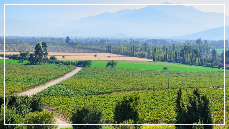 칠레 마이포밸리