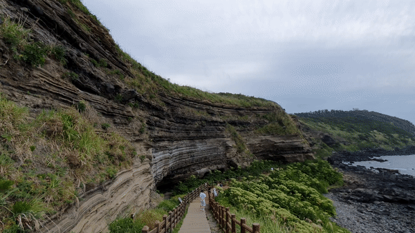 수월봉 해식절벽