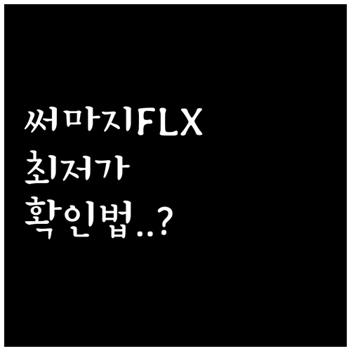4세대 써마지 FLX 시술 비용과 부..