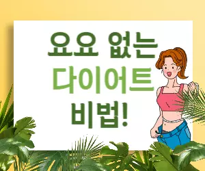 건강한 다이어트 방법, 요요 없이 성공하려면?