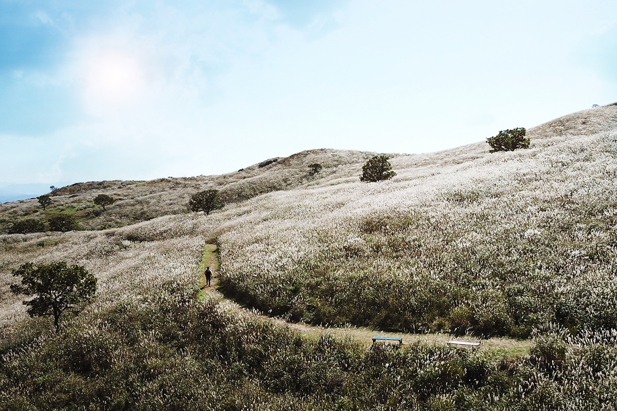 가을 억새, 단풍 산행지 추천