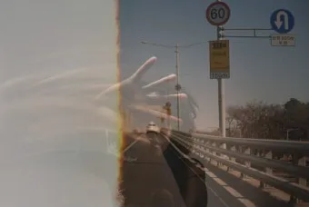 모종 고르는 법 줄기 굵기 잎색 뿌리상태 병해 흔적 확인_29