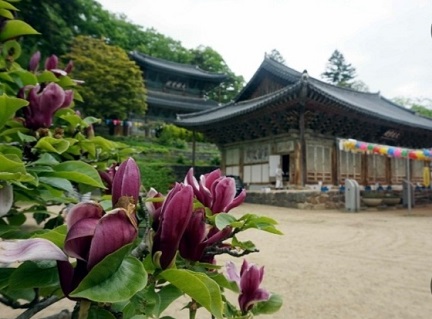 공주마곡사