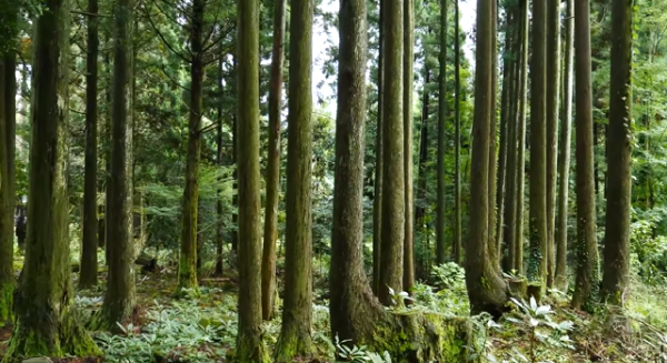 봄에 떠나기 좋은 여행지