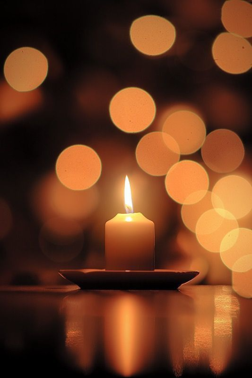 정화일간의 기본특성