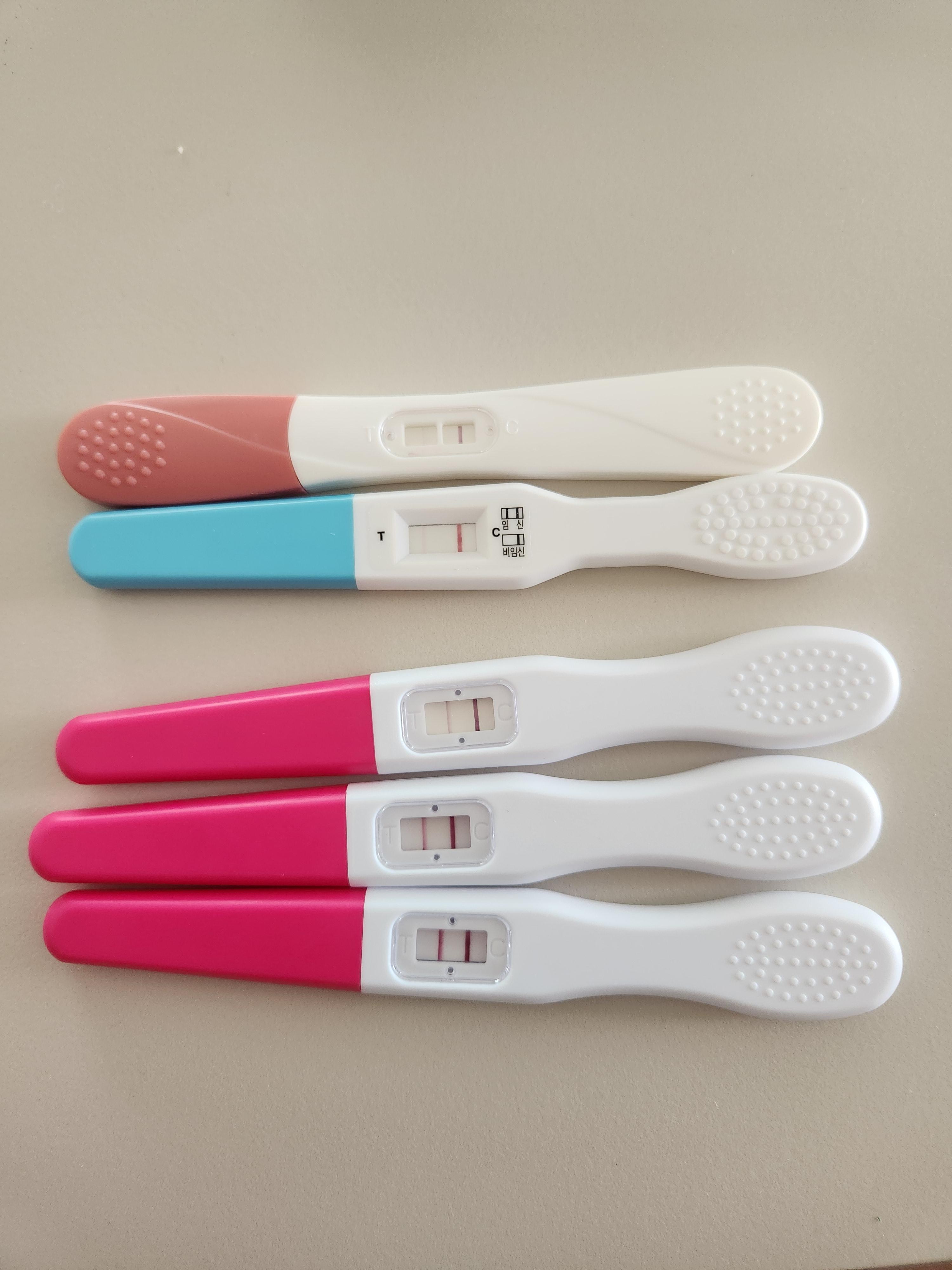 임신테스트기 원포패스터 얼리임신테스트기, 원포 얼리임신테스트기 센스데이 얼리 임신테스트기